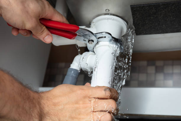 Best Flood restoration services  in Fortuna Foothills, AZ