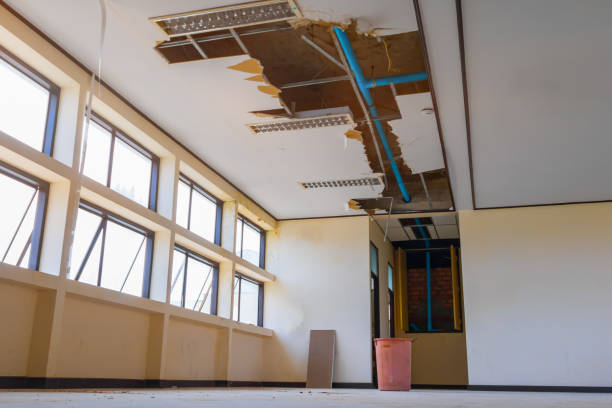 Best Professional water damage repair  in Fortuna Foothills, AZ