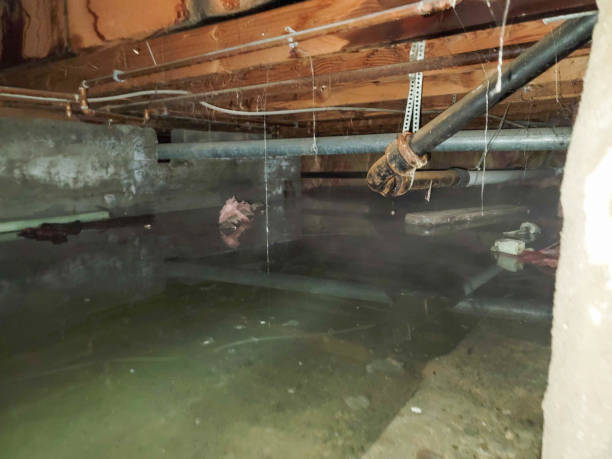 Best Water damage restoration near me  in Fortuna Foothills, AZ