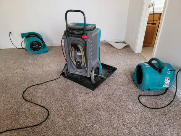  Fortuna Foothills, AZ Water damage restoration Pros