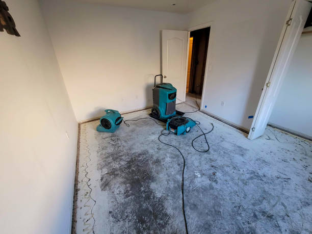 Fortuna Foothills, AZ Water damage restoration Company
