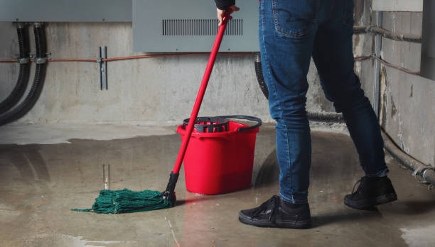 Best Sewage cleanup and water damage restoration  in Fortuna Foothills, AZ