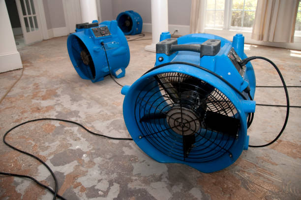 Best Water damage restoration mold remediation  in Fortuna Foothills, AZ