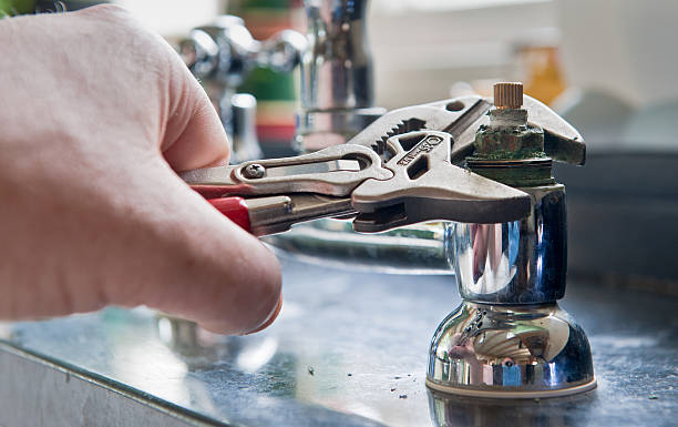 Best Mold removal after water damage  in Fortuna Foothills, AZ