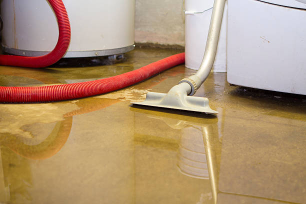 Best Basement water damage restoration  in Fortuna Foothills, AZ
