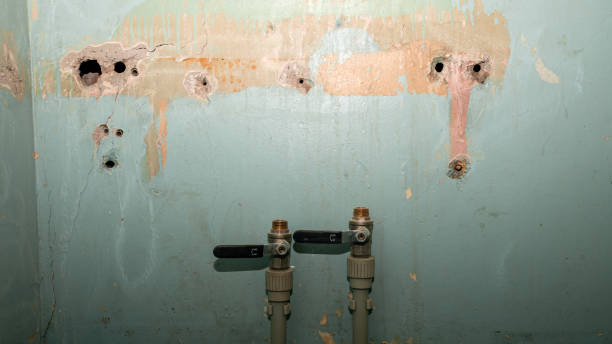 Best Water damage cleanup near me  in Fortuna Foothills, AZ