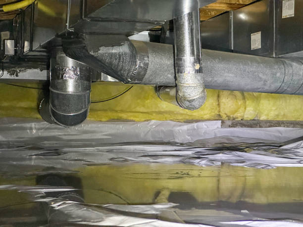 Best Flooded house restoration  in Fortuna Foothills, AZ